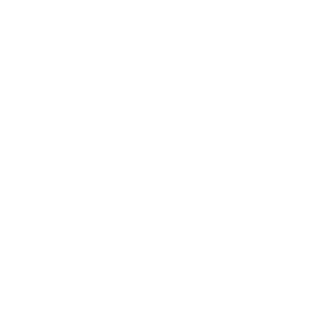 FTZ records new logo only.png