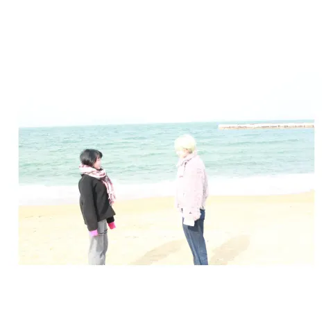 海